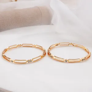 Anushika Stone Pair Bangle