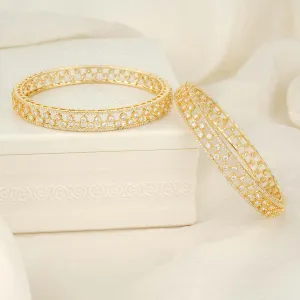 Maanashi Stone Pair Bangles
