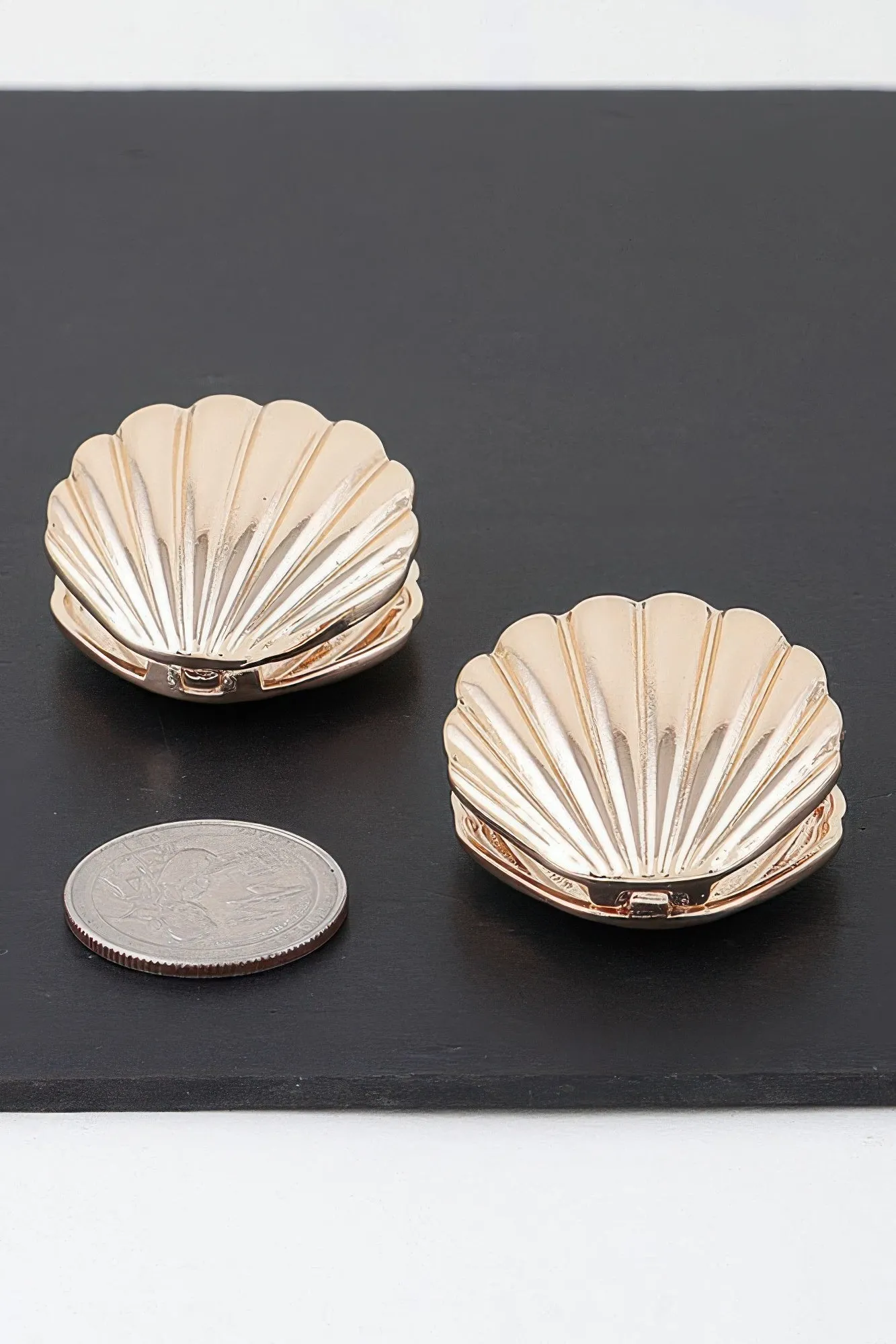 Modern Clam Shell Earrings
