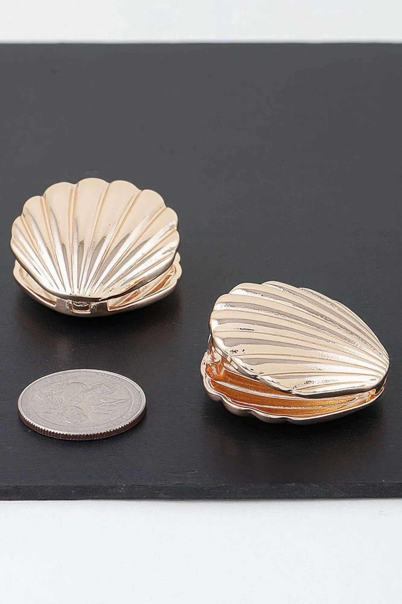 Modern Clam Shell Earrings