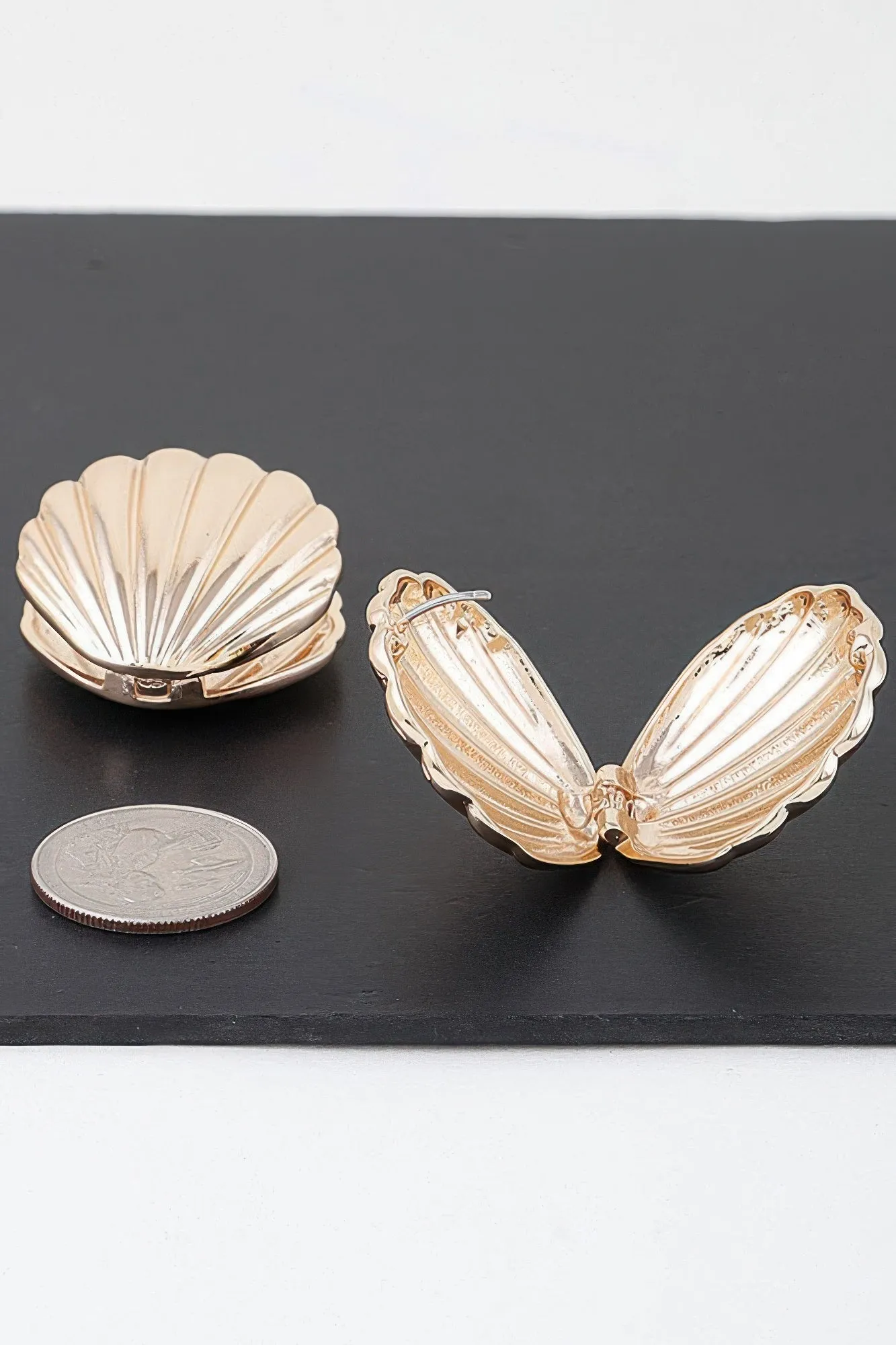 Modern Clam Shell Earrings