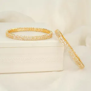Rekshina Stone Pair Bangles