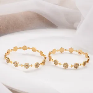 Stunning Stone Pair Bangle